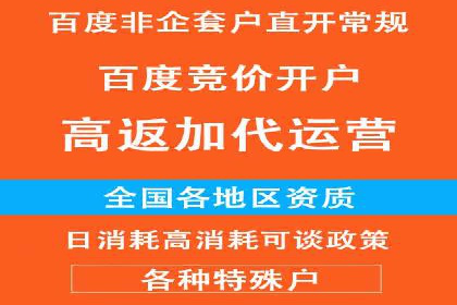关键词竞价排名实战案例精选解析